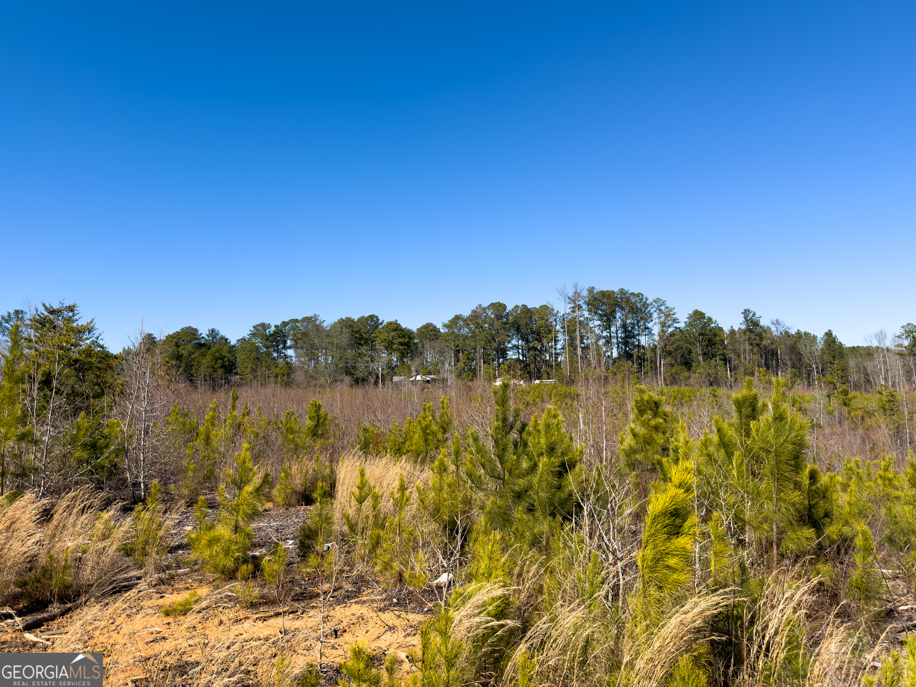 0 Steadman Road Tallapoosa, GA 30176 - Photo 38 of 42 a view of lake