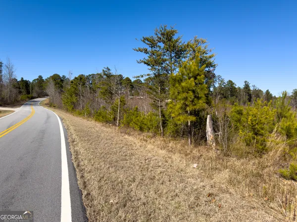 a view of a dry yard with trees