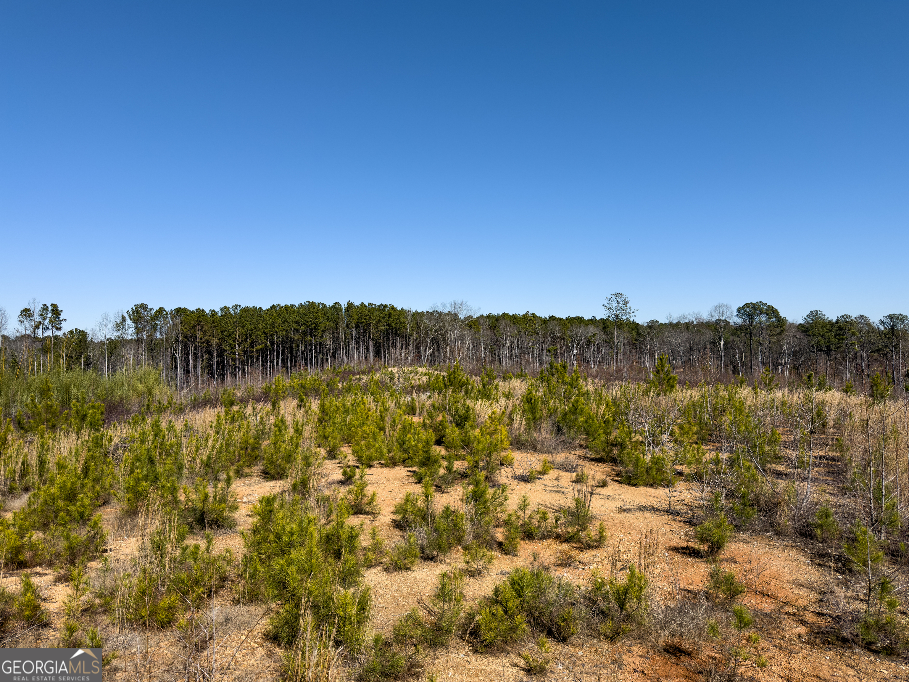 0 Steadman Road Tallapoosa, GA 30176 - Photo 40 of 42 a view of lake with green space