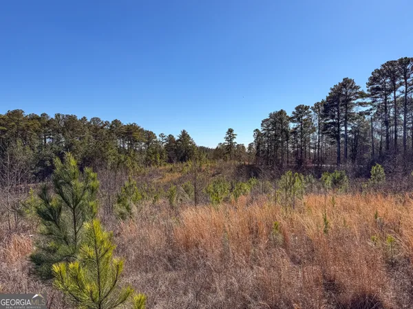 a view of a lake in between the bunch of trees
