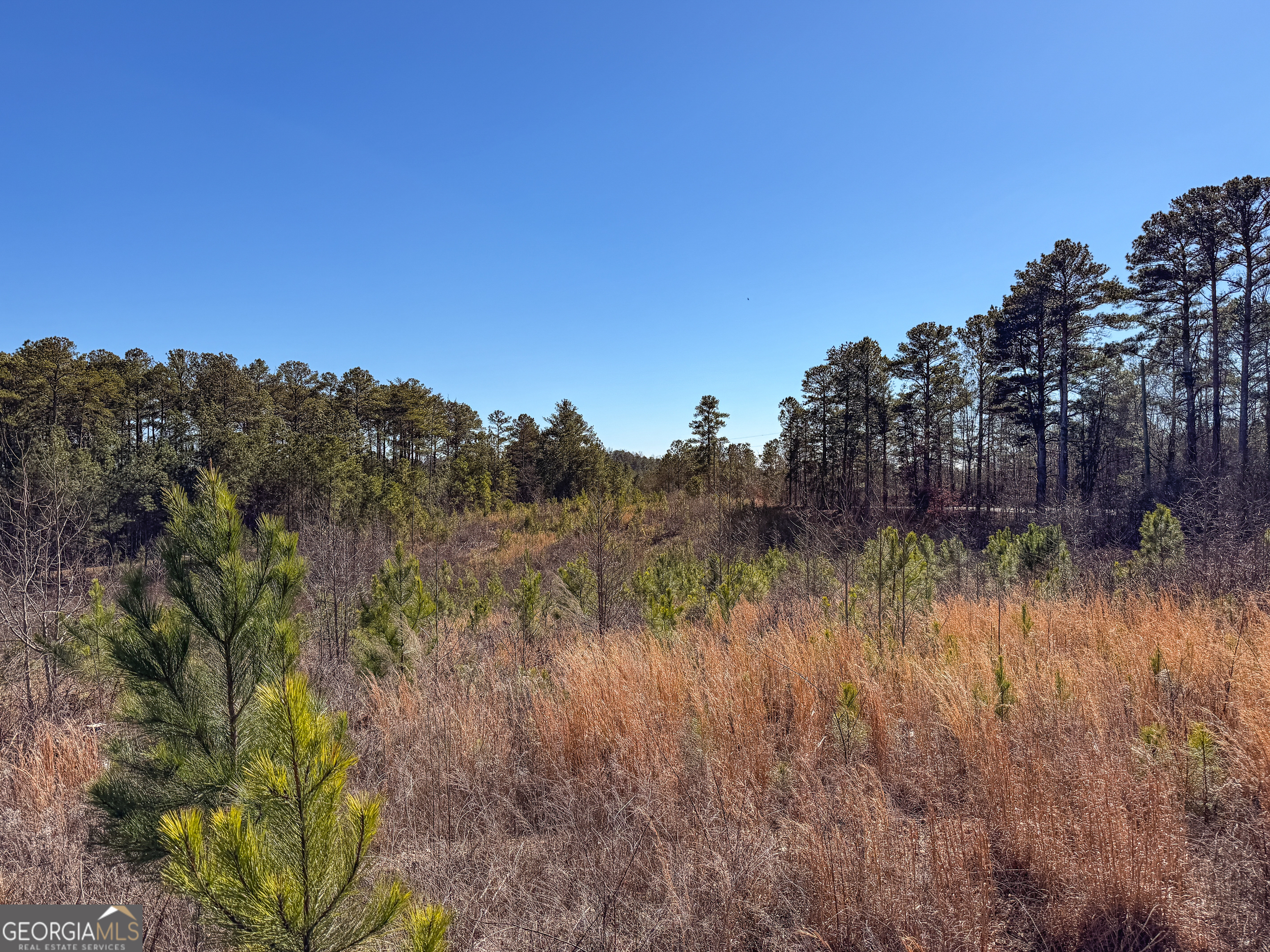 0 Steadman Road Tallapoosa, GA 30176 - Photo 41 of 42 a view of a lake in between the bunch of trees