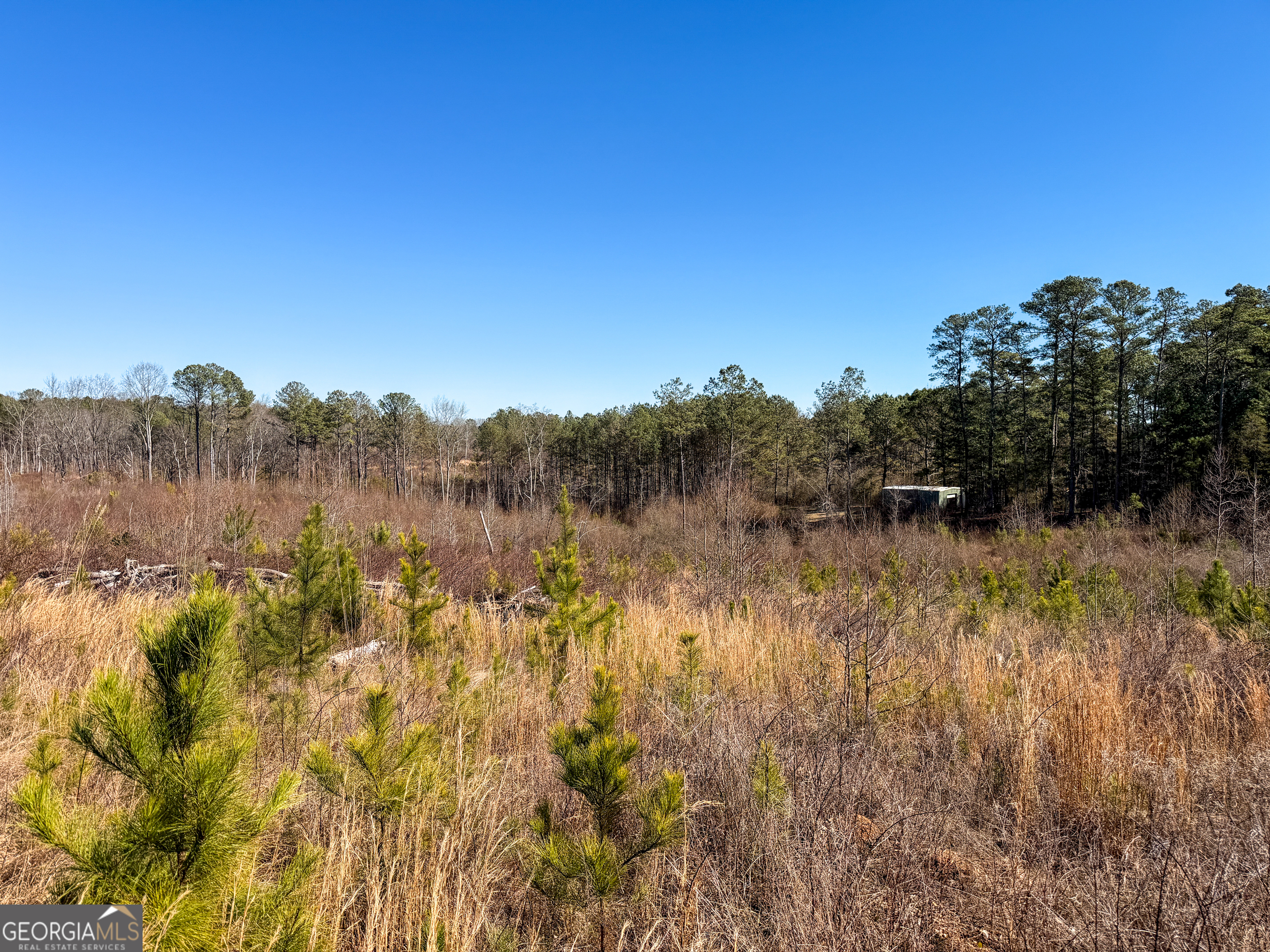 0 Steadman Road Tallapoosa, GA 30176 - Photo 42 of 42 a view of mountain with trees in the background