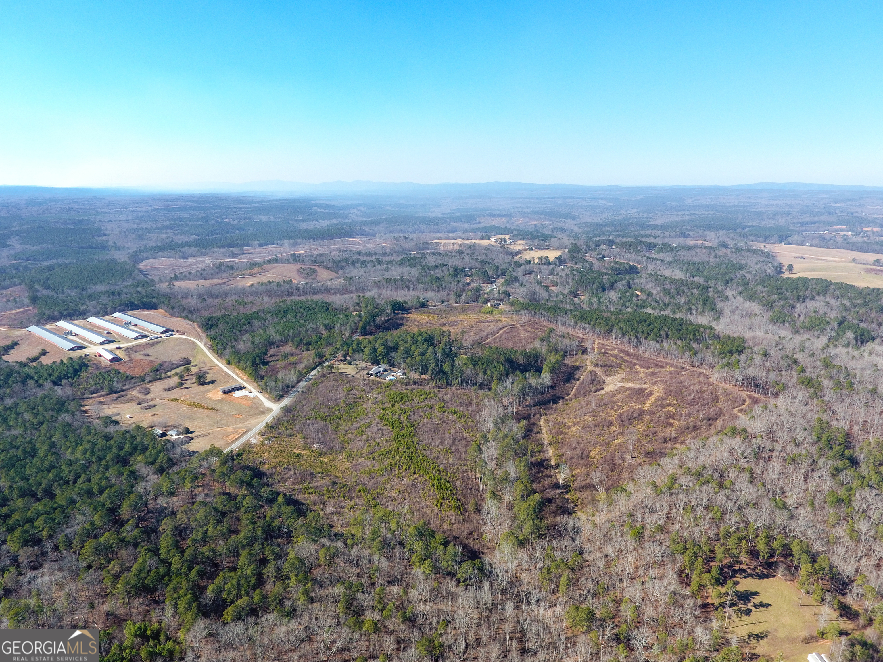 0 Steadman Road Tallapoosa, GA 30176 - Photo 5 of 42 an aerial view of house with yard and mountain view in back