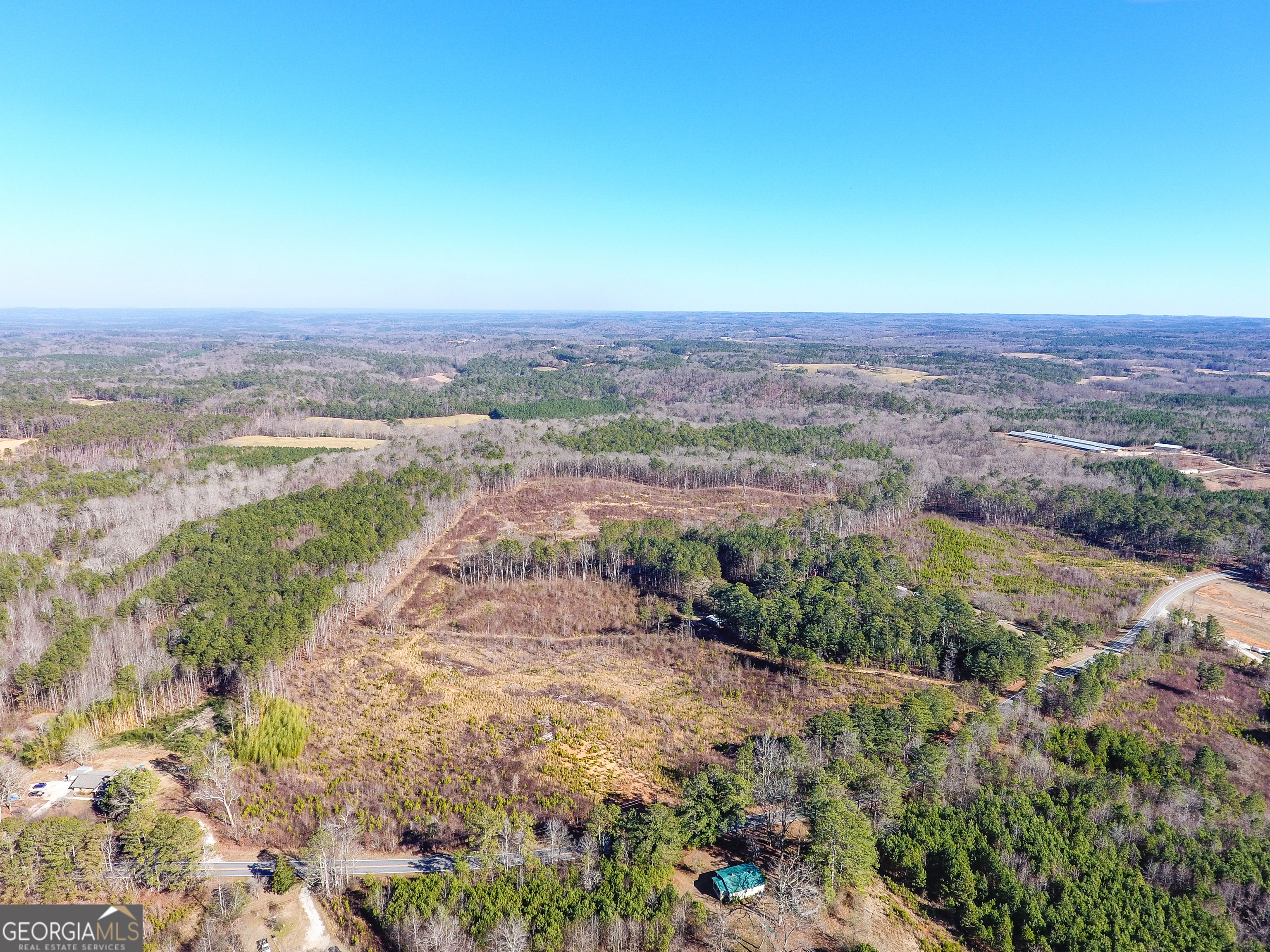 0 Steadman Road Tallapoosa, GA 30176 - Photo 6 of 42 a view of a yard with an ocean beach