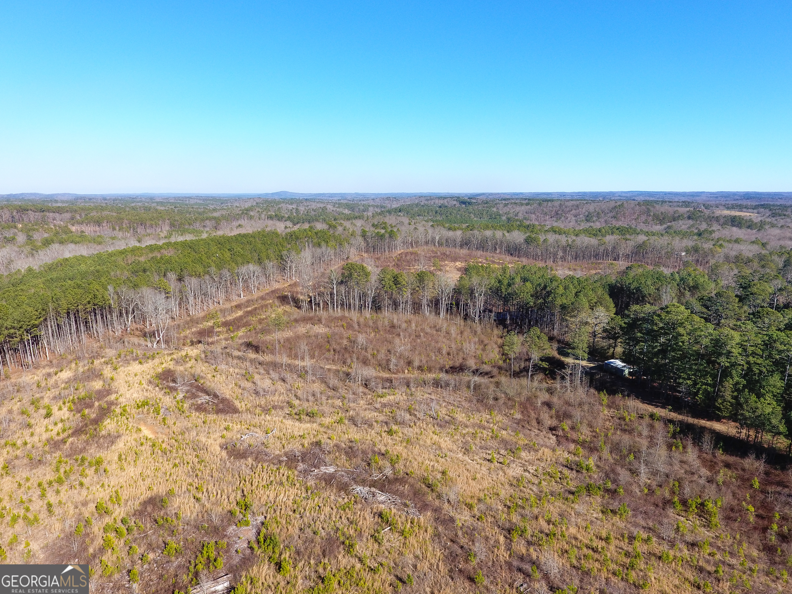 0 Steadman Road Tallapoosa, GA 30176 - Photo 7 of 42 a view of a lake with mountain in the background
