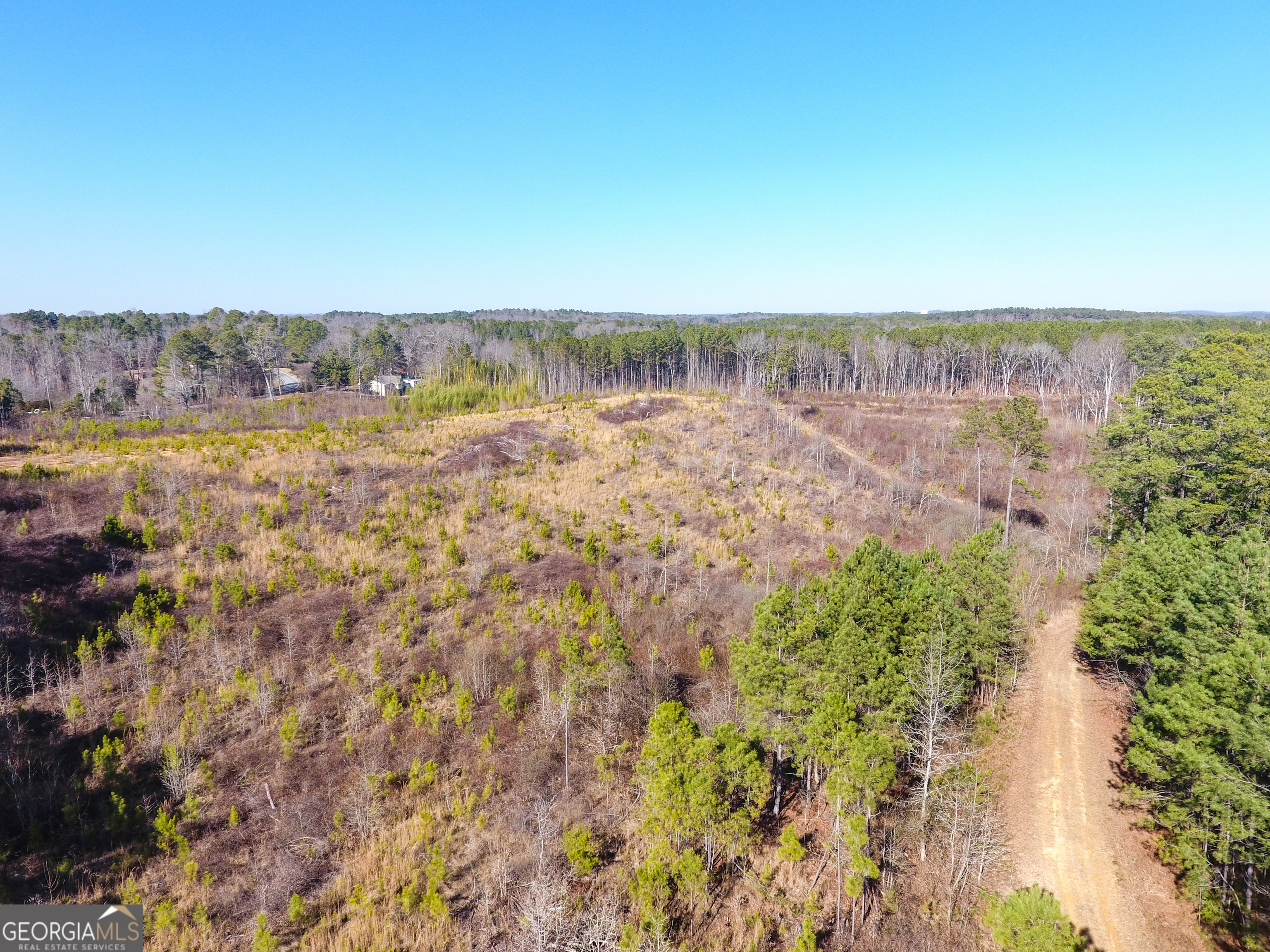 0 Steadman Road Tallapoosa, GA 30176 - Photo 8 of 42 a view of an ocean