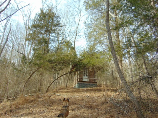 4340 Beaver Road Union, KY 41091 - Photo 13 of 47 Gallery Image 13
