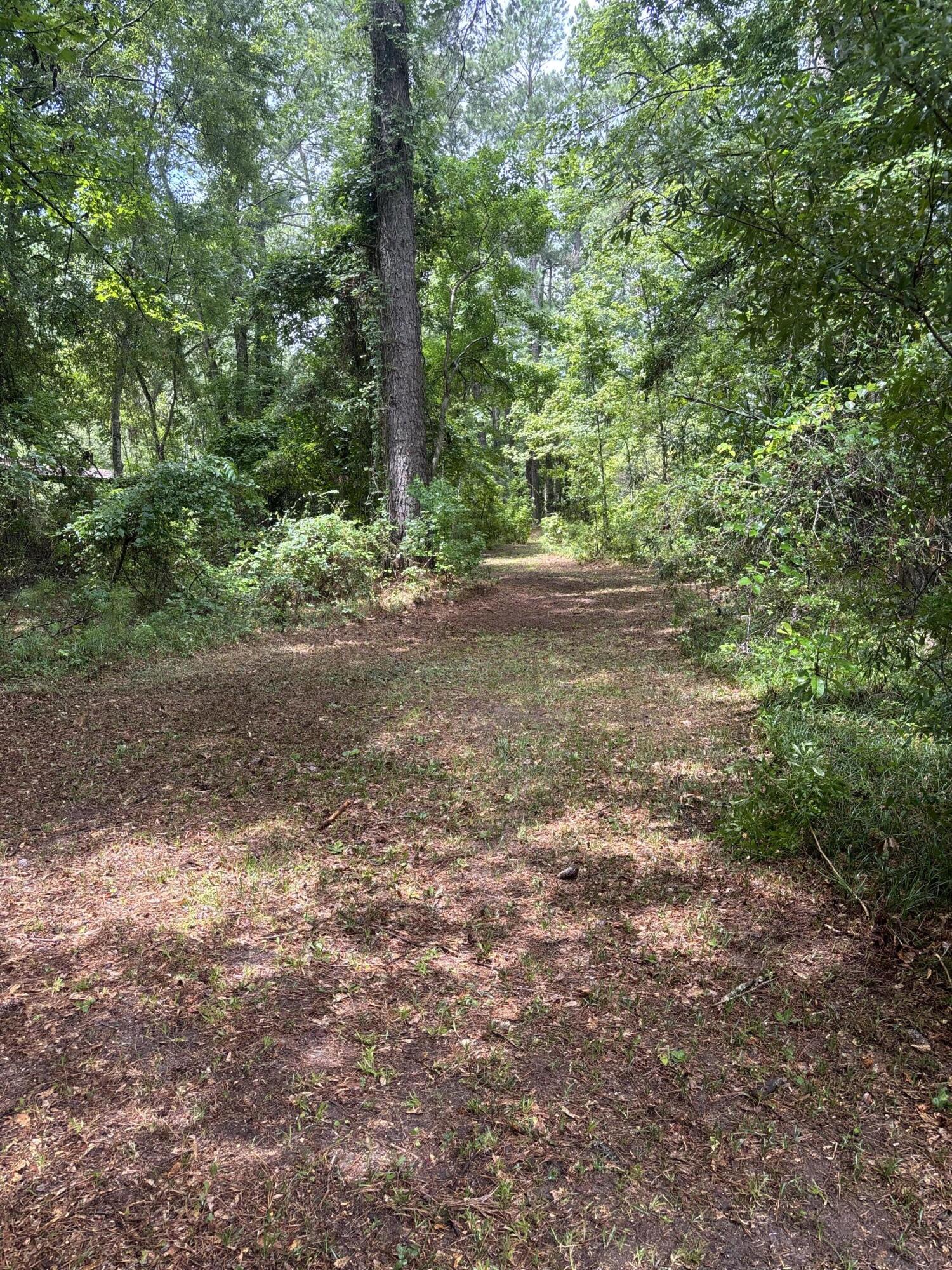 153 Rutledge Drive Eutawville, SC 29048 - Photo 7 of 11 Gallery Image 7
