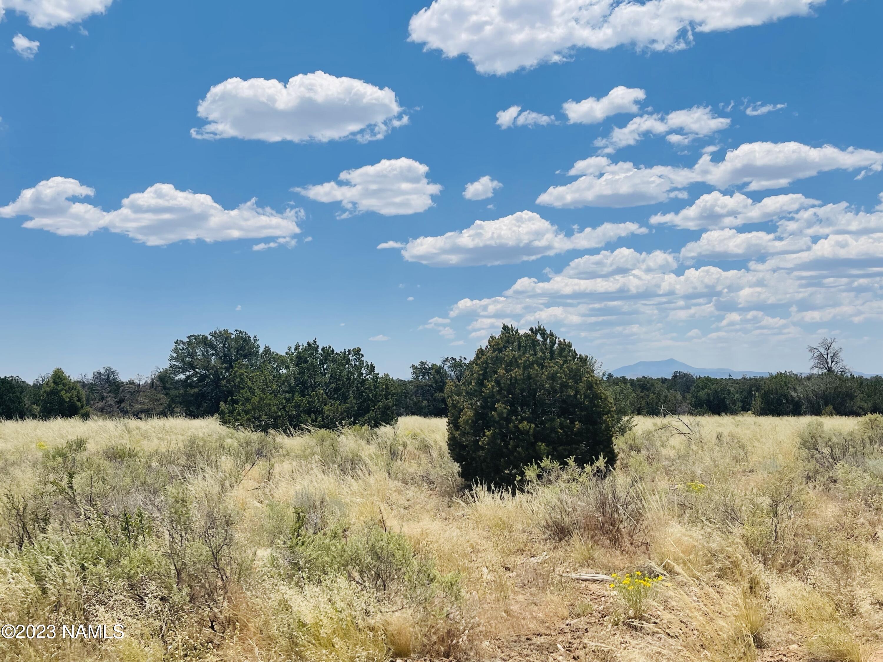 4799 North Hidden Rnch Road Williams, AZ 86046 - Photo 11 of 18 4799 N Hidden Ranch Rd Photo 15