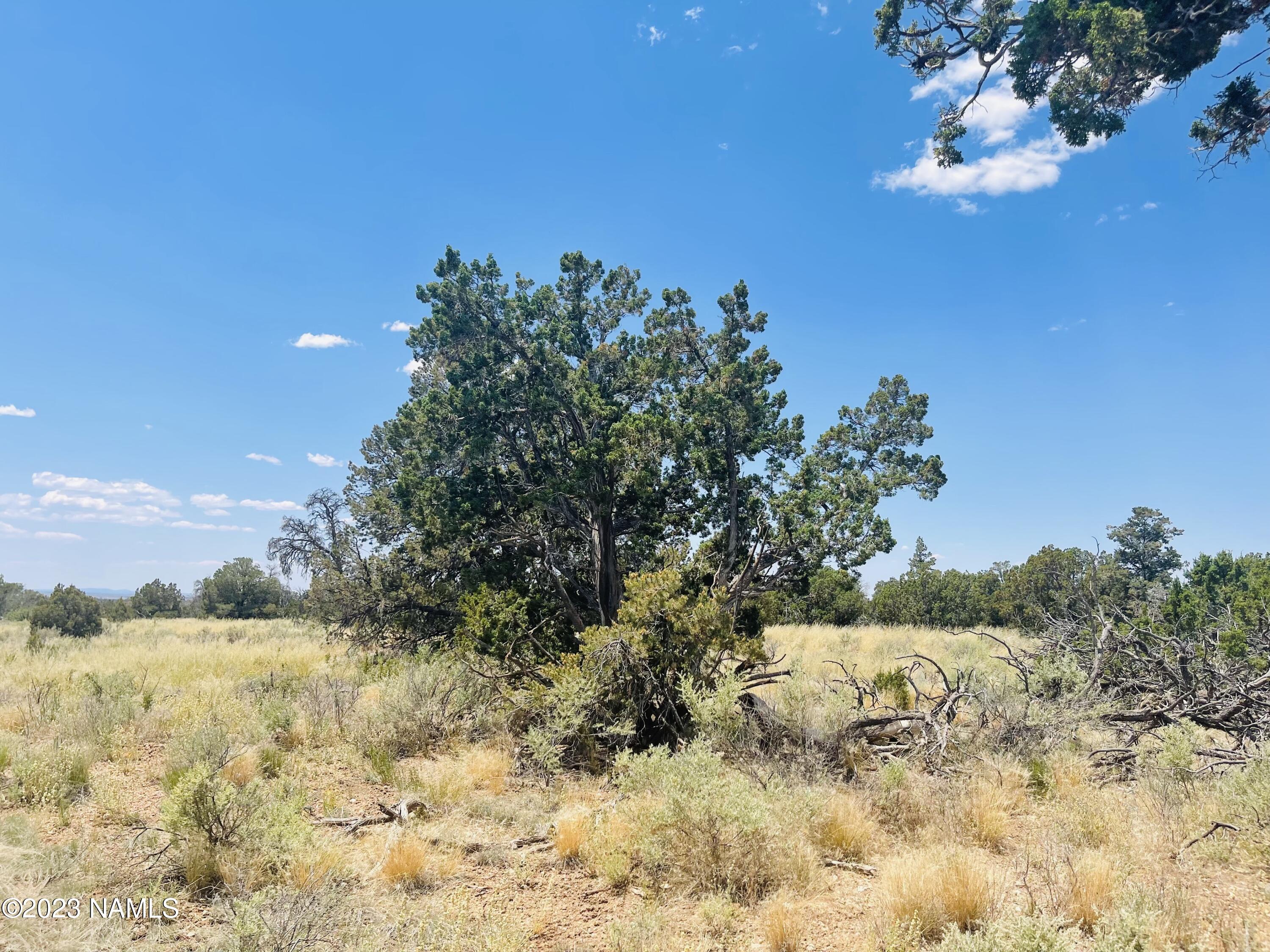 4799 North Hidden Rnch Road Williams, AZ 86046 - Photo 13 of 18 4799 N Hidden Ranch Rd Photo 10