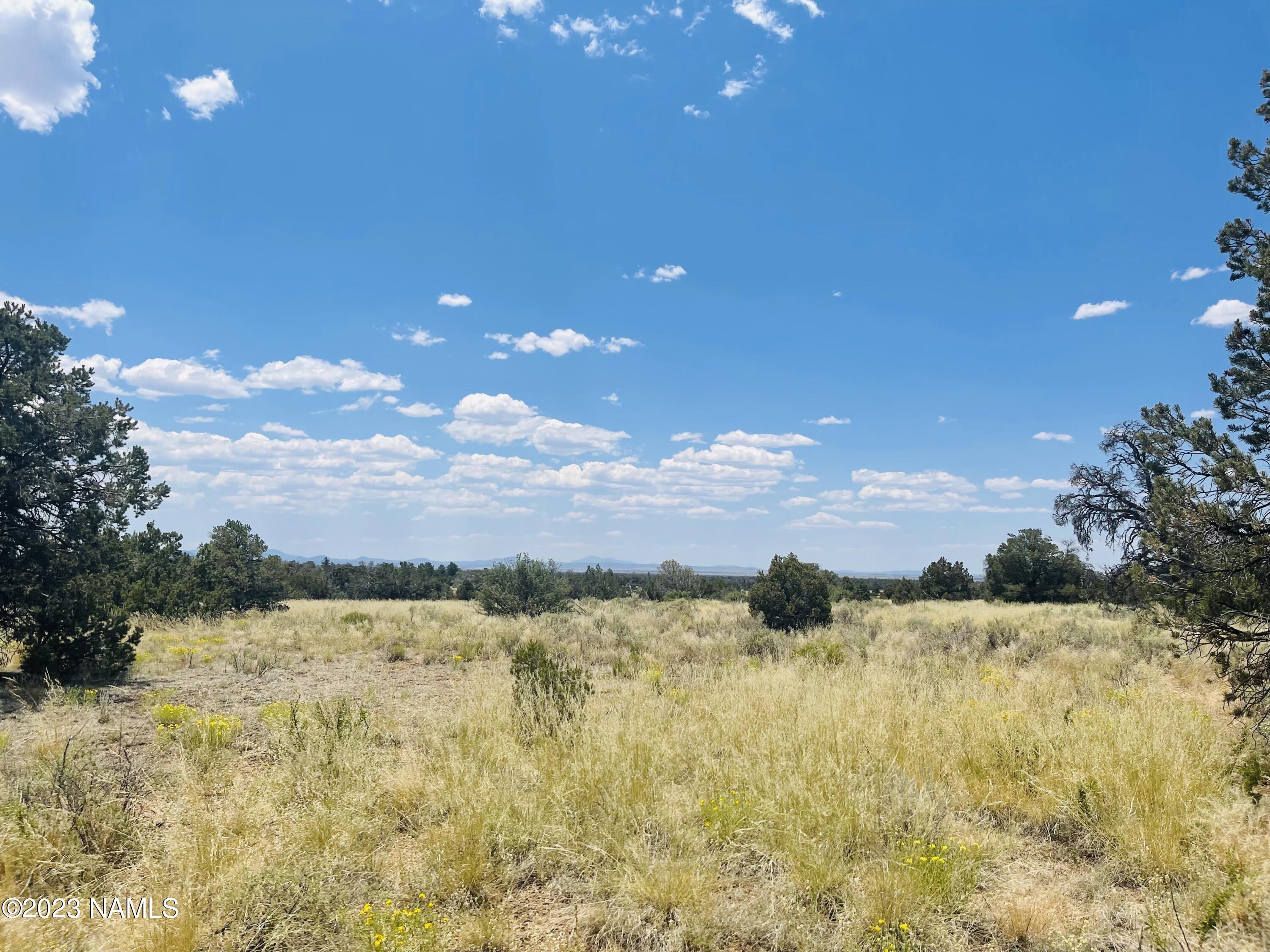 4799 North Hidden Rnch Road Williams, AZ 86046 - Photo 14 of 18 4799 N Hidden Ranch Rd Photo 11