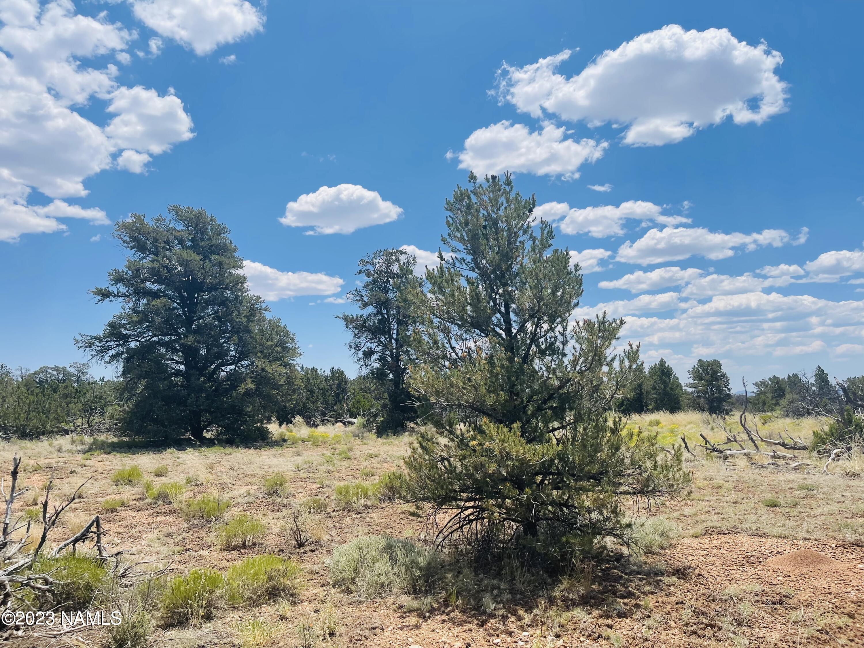 4799 North Hidden Rnch Road Williams, AZ 86046 - Photo 2 of 18 4799 N Hidden Ranch Rd Photo 5