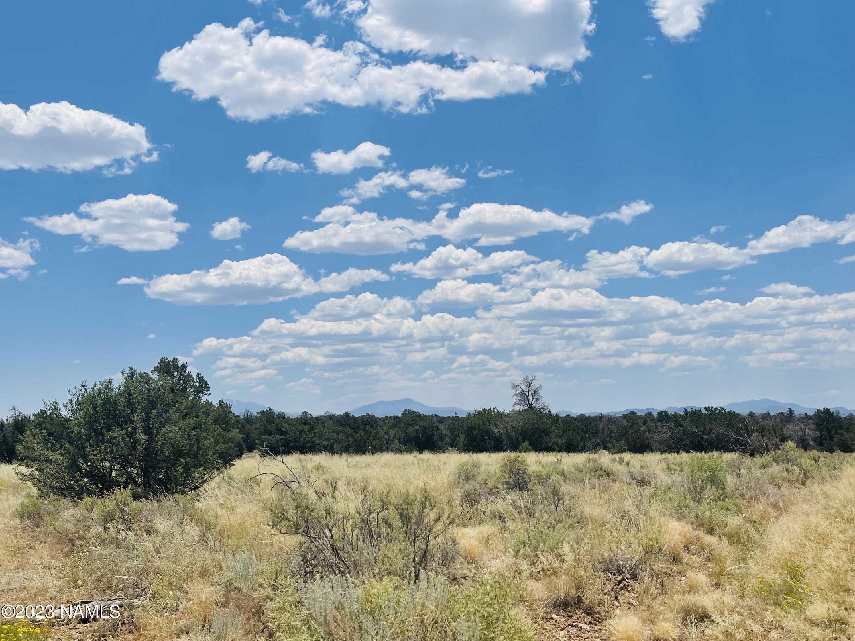4799 North Hidden Rnch Road Williams, AZ 86046 - Photo 5 of 18 4799 N Hidden Ranch Rd Photo 16
