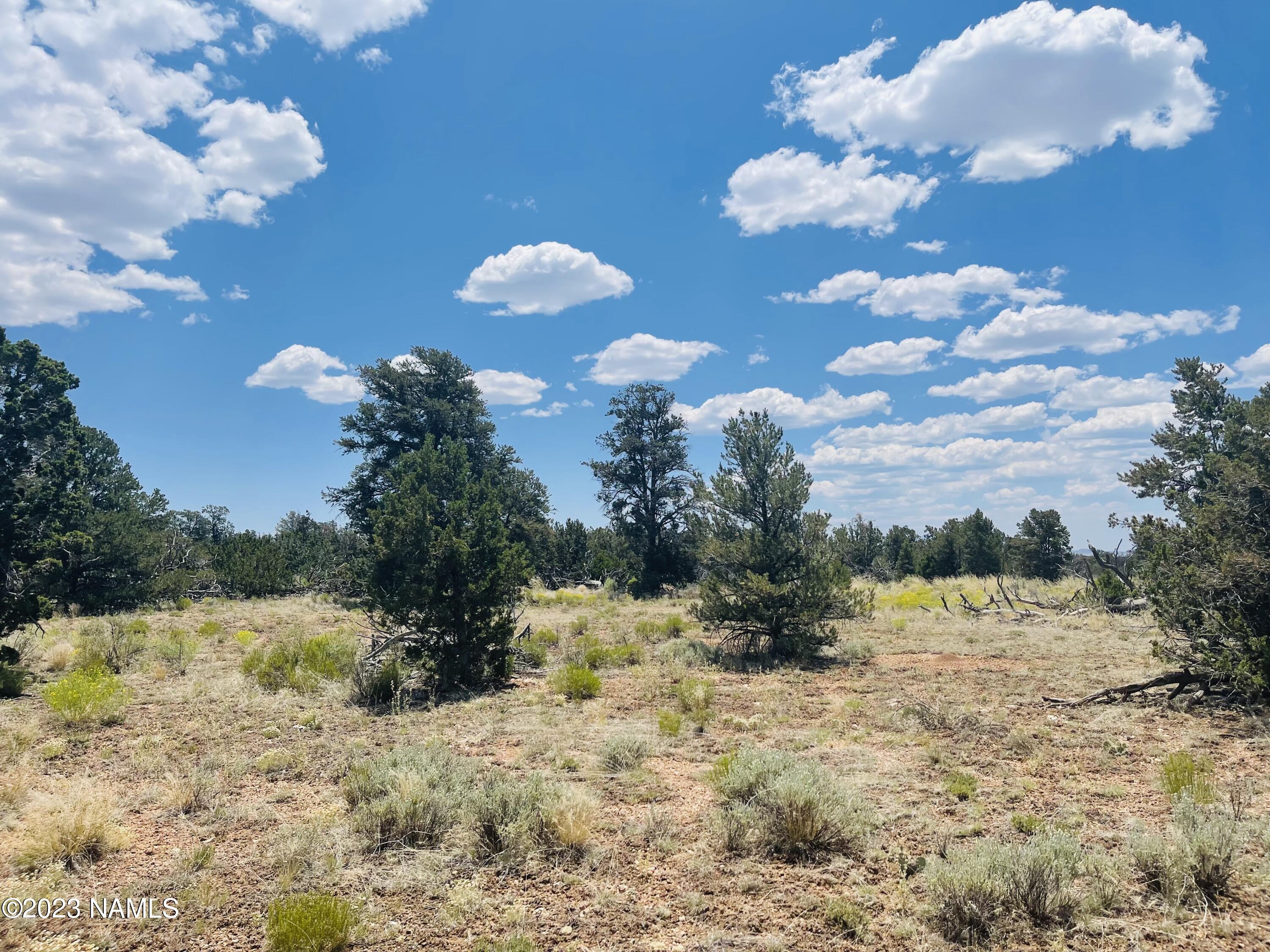 4799 North Hidden Rnch Road Williams, AZ 86046 - Photo 6 of 18 4799 N Hidden Ranch Rd Photo 3