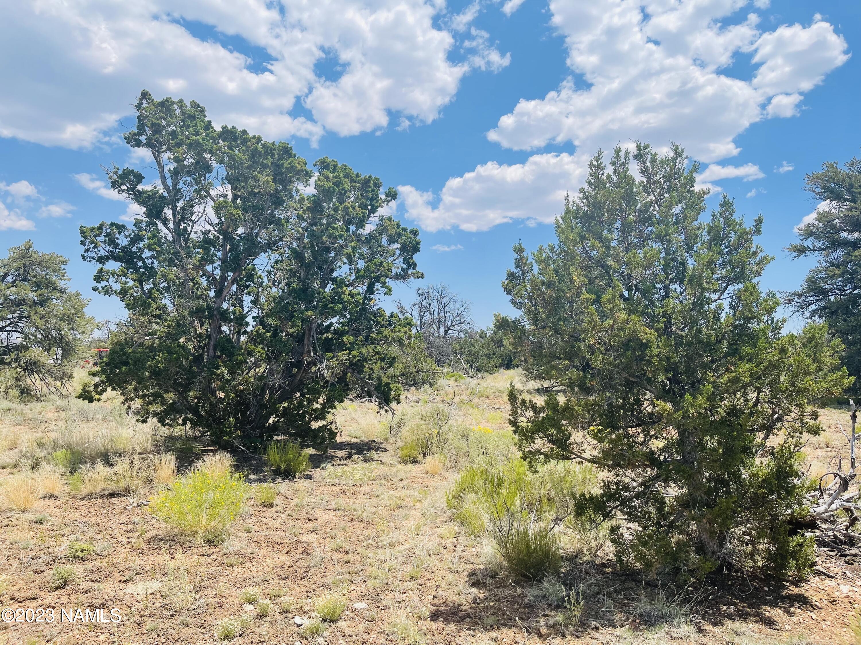 4799 North Hidden Rnch Road Williams, AZ 86046 - Photo 7 of 18 4799 N Hidden Ranch Rd Photo 4