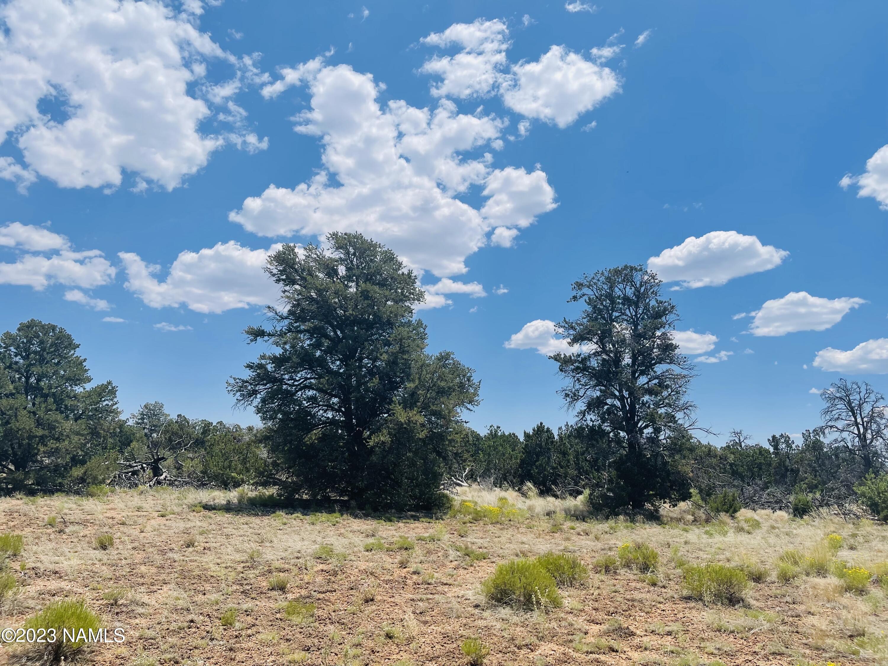 4799 North Hidden Rnch Road Williams, AZ 86046 - Photo 8 of 18 4799 N Hidden Ranch Rd Photo 6