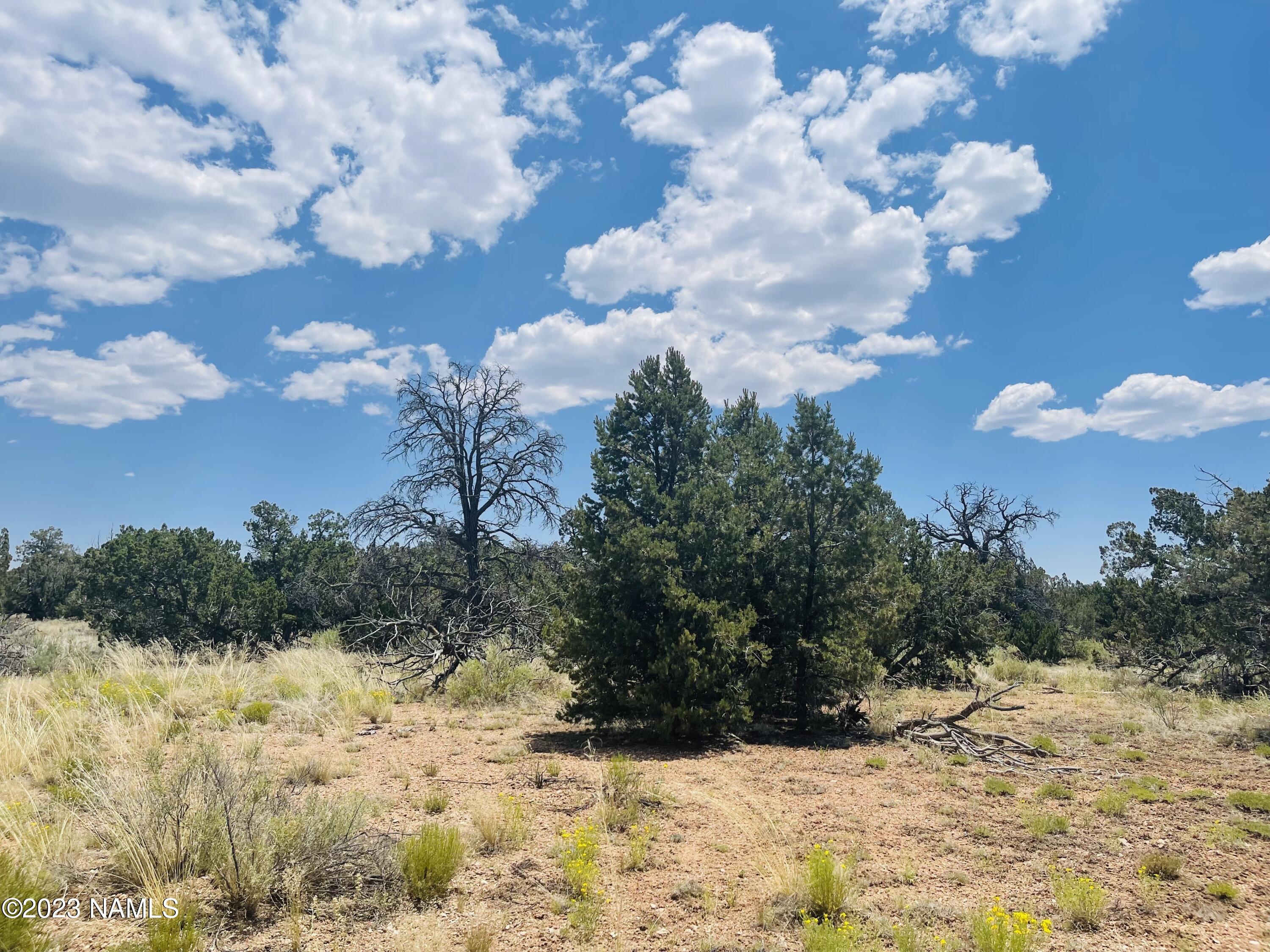 4799 North Hidden Rnch Road Williams, AZ 86046 - Photo 10 of 18 4799 N Hidden Ranch Rd Photo 8
