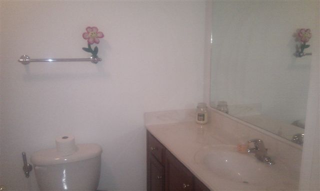 712 North Mill Road Salem, VA 24153 - Photo 8 of 11 Bathroom