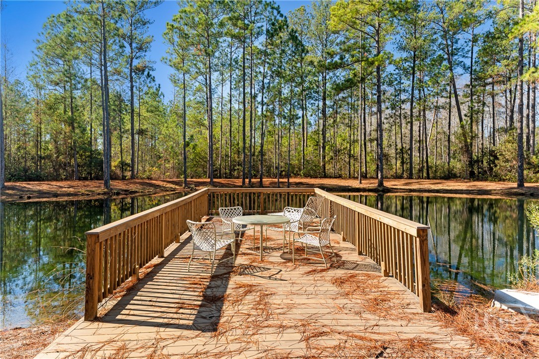 1576 Mt Hope Road Guyton, GA 31312 - Photo 28 of 42