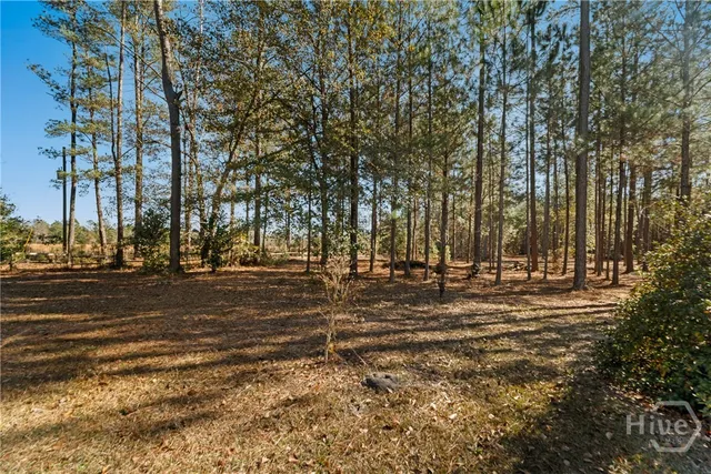 $549,900 | 1576 Mt Hope Road, Guyton, GA 31312