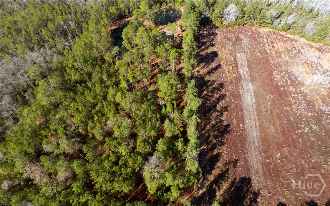 1576 Mt Hope Road Guyton, GA 31312 - Photo 42 of 42