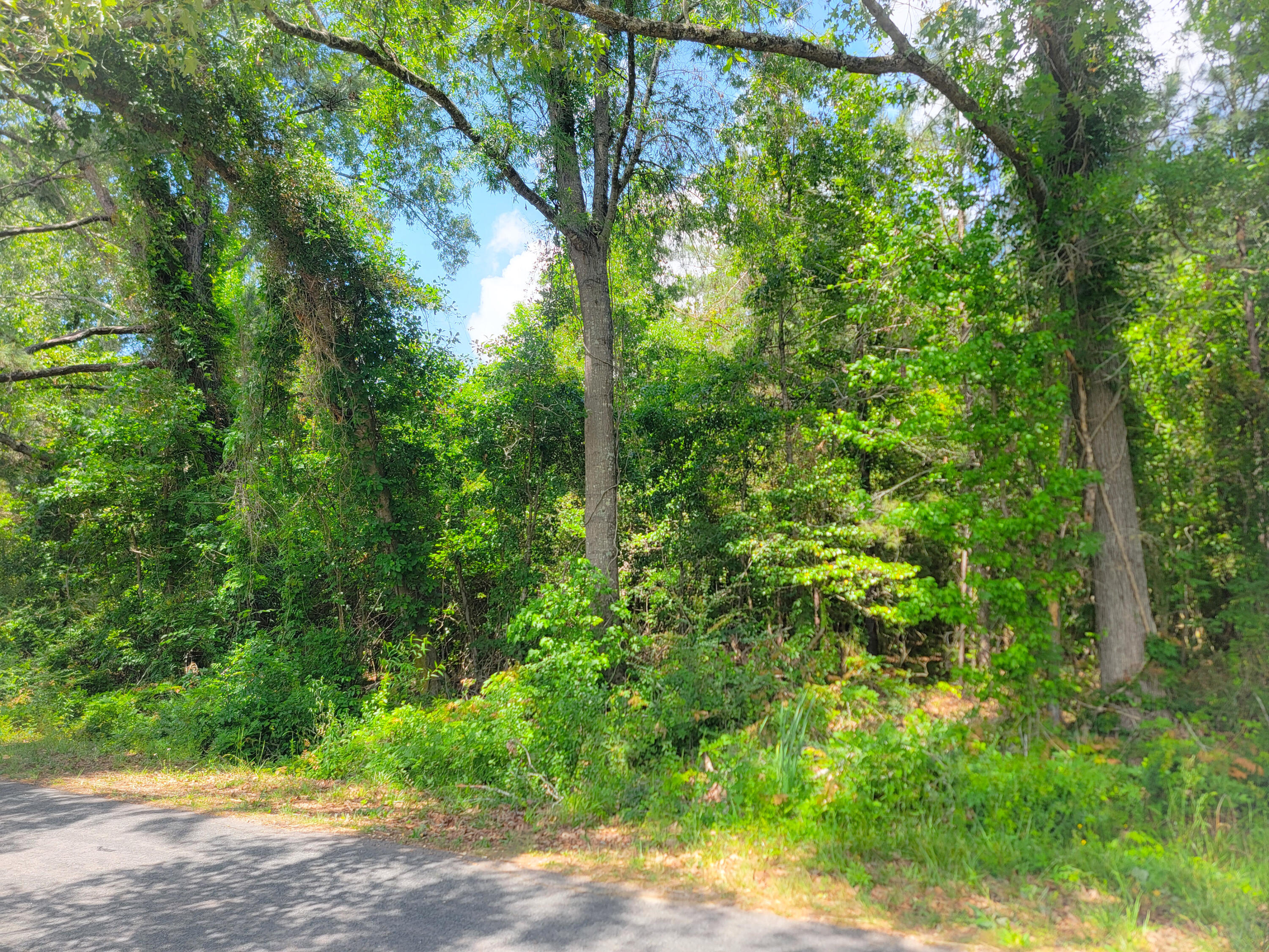 0 Murraysville Road Moncks Corner, SC 29461 - Photo 2 of 5 Washington 0000 Murraysville Rd Pic 4 04
