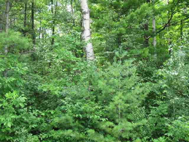Reynolds Road Sturgeon Bay, WI 54235 - Photo 1 of 1