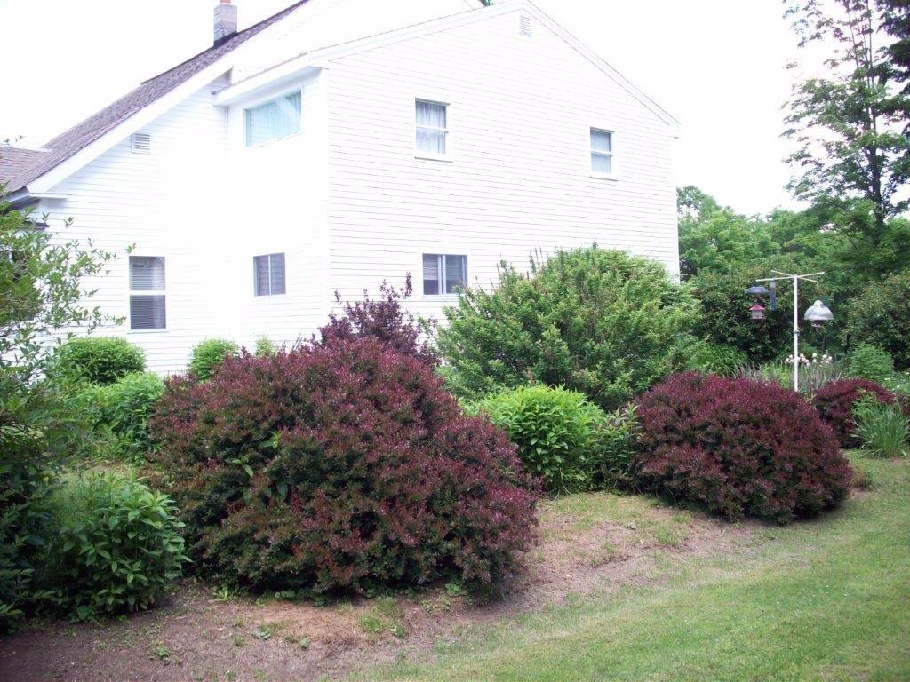 73 South Adams Road Litchfield, ME 04350 - Photo 2 of 31 Back of House