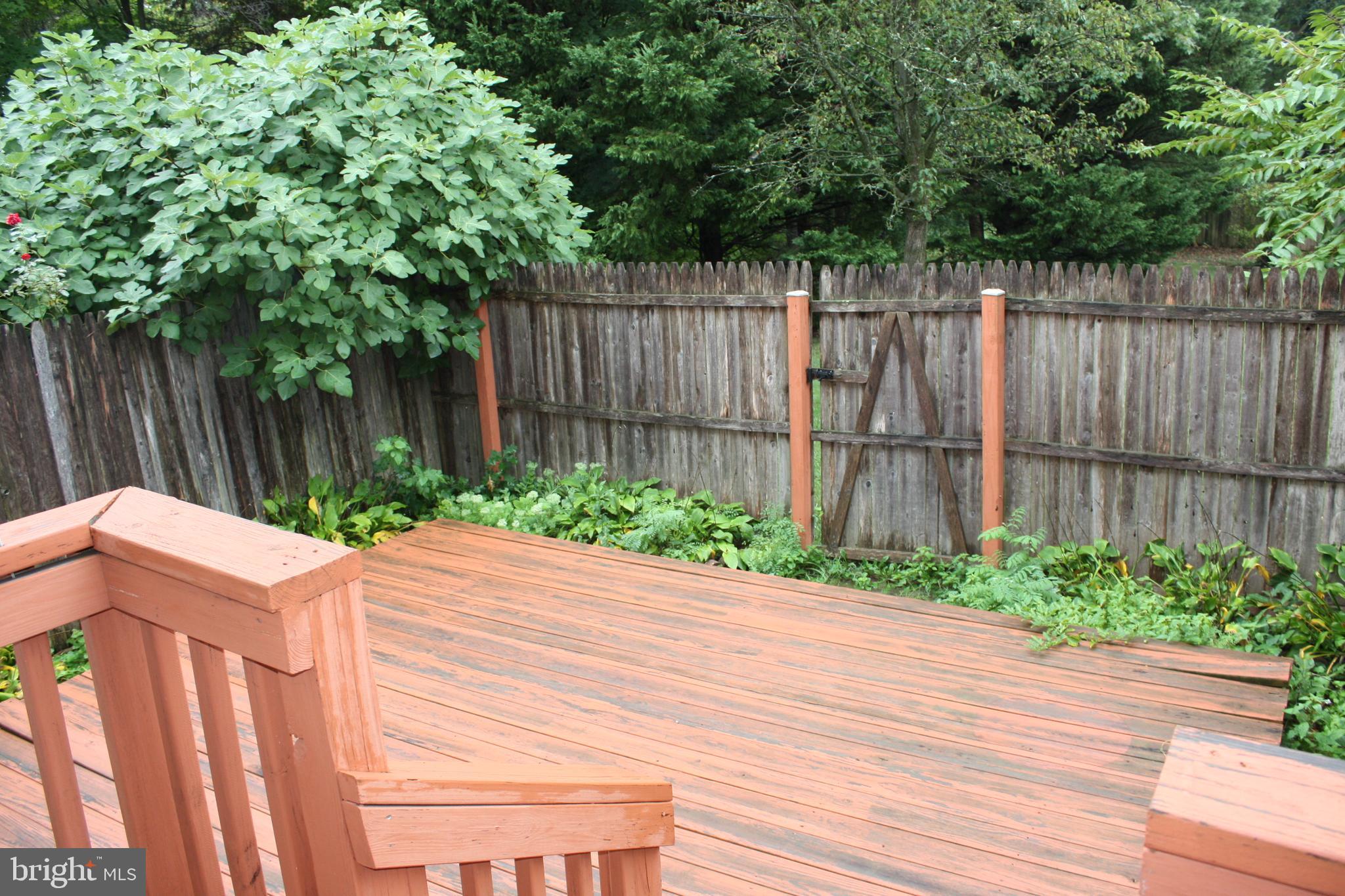 6261 Alforth Avenue Alexandria, VA 22315 - Photo 3 of 29 a front view of a house with a yard
