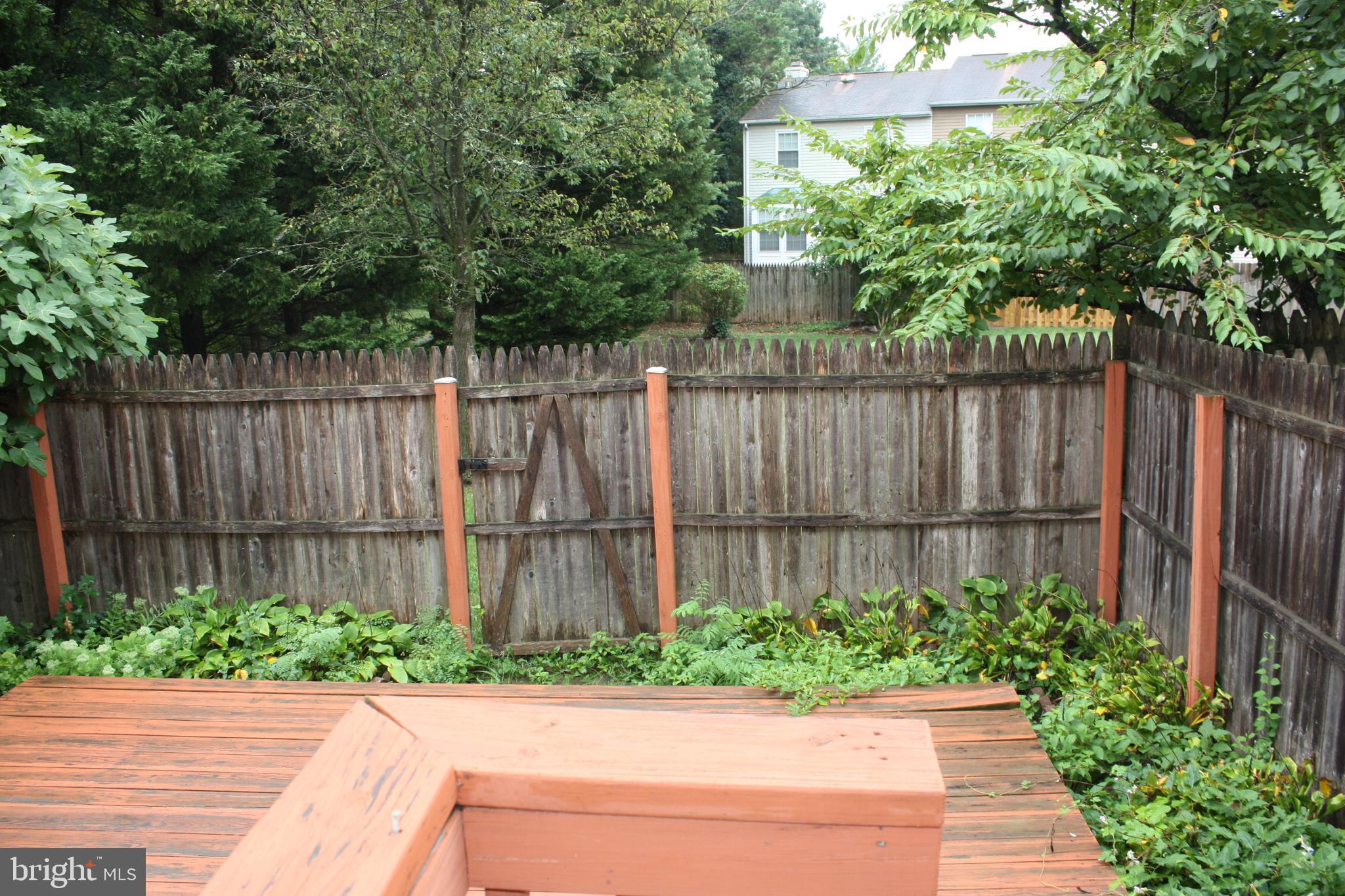 6261 Alforth Avenue Alexandria, VA 22315 - Photo 4 of 29 a garden with trees in front of it