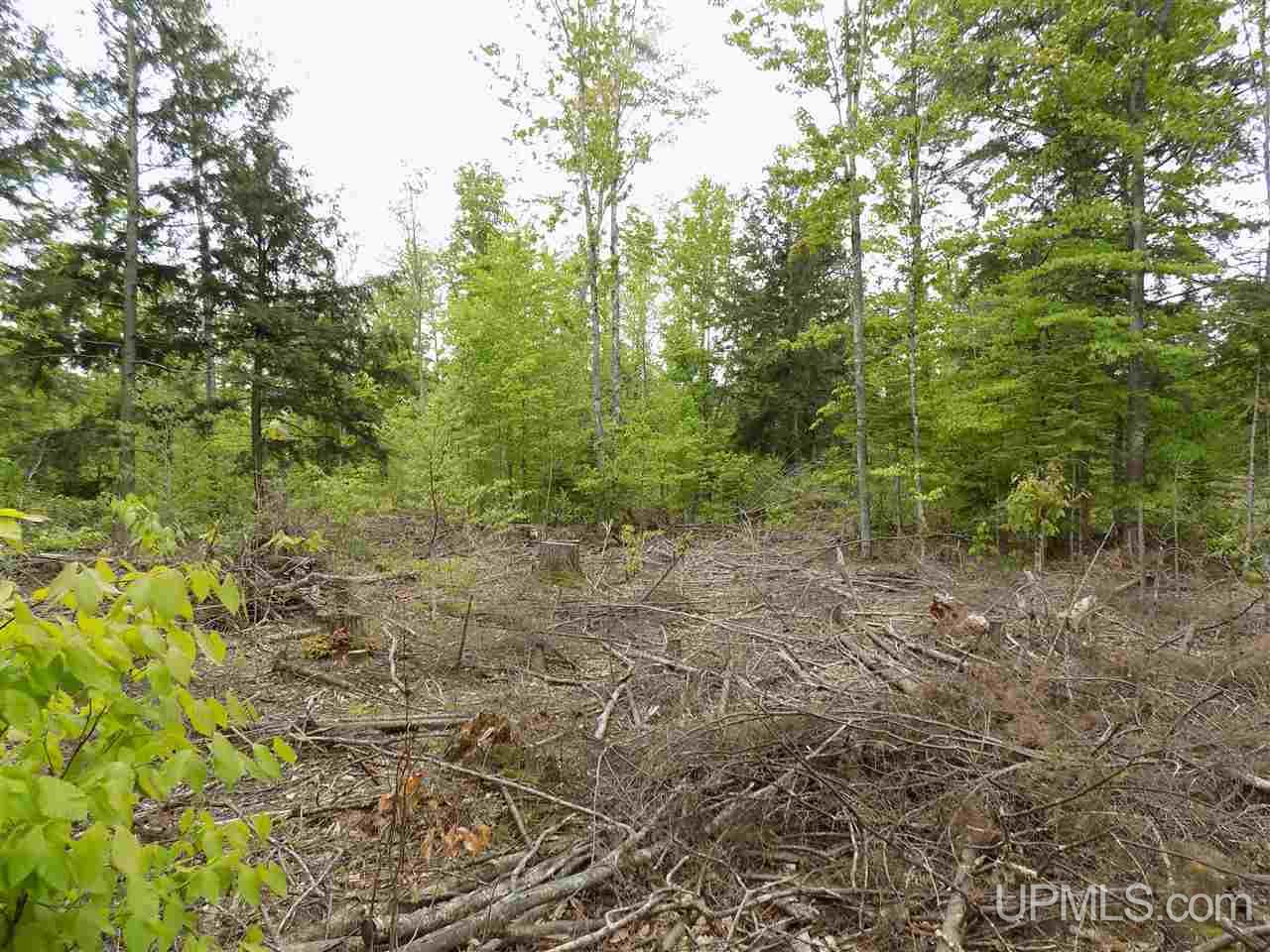 Tbd Slim's Road, Unit PARCEL B Manistique, MI 49854 - Photo 18 of 21
