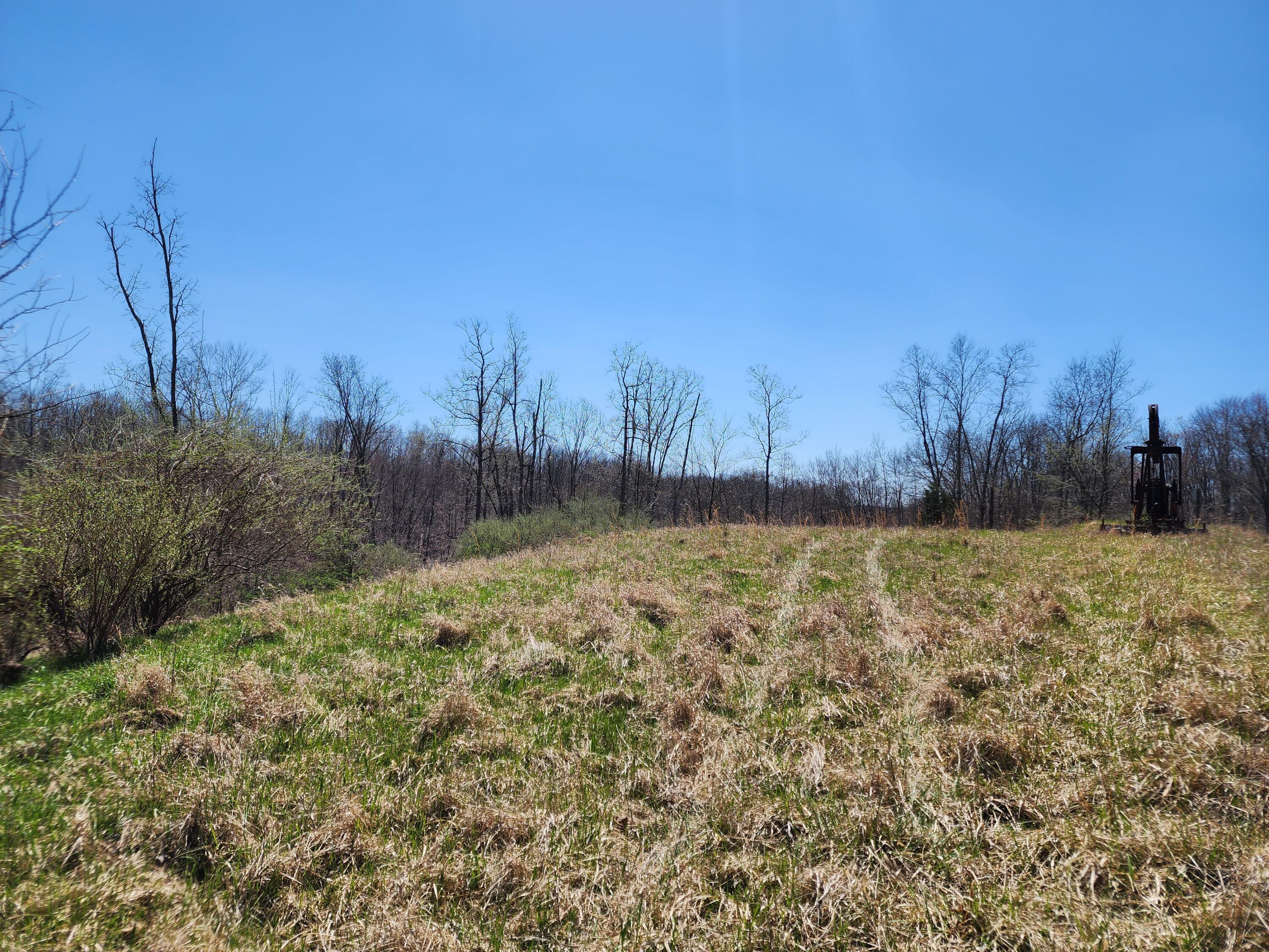 0 Halleys Ridge Road Caldwell, OH 43724 - Photo 14 of 69 20230411_131808