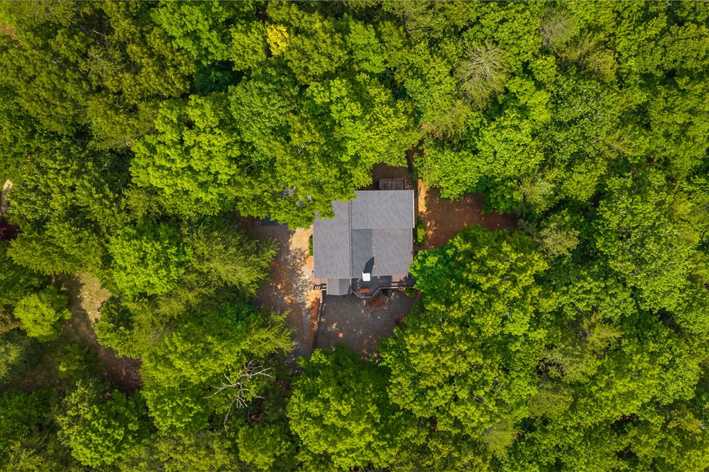 220 Blue Ridge Trail Morganton, GA 30560 - Photo 55 of 58