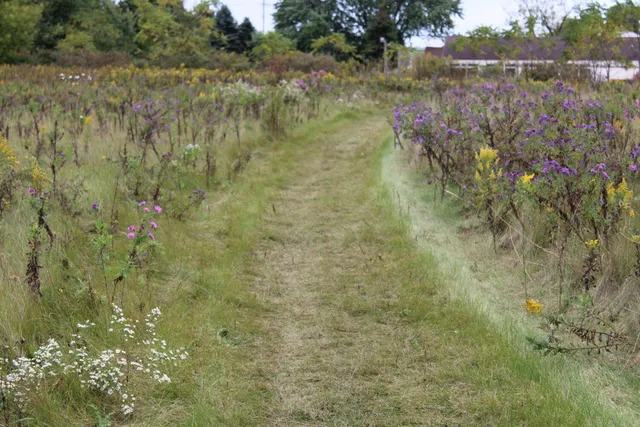 $205,000 | Lt2 Rolling Hills Drive, Unit LT3, Rubicon, WI 53078