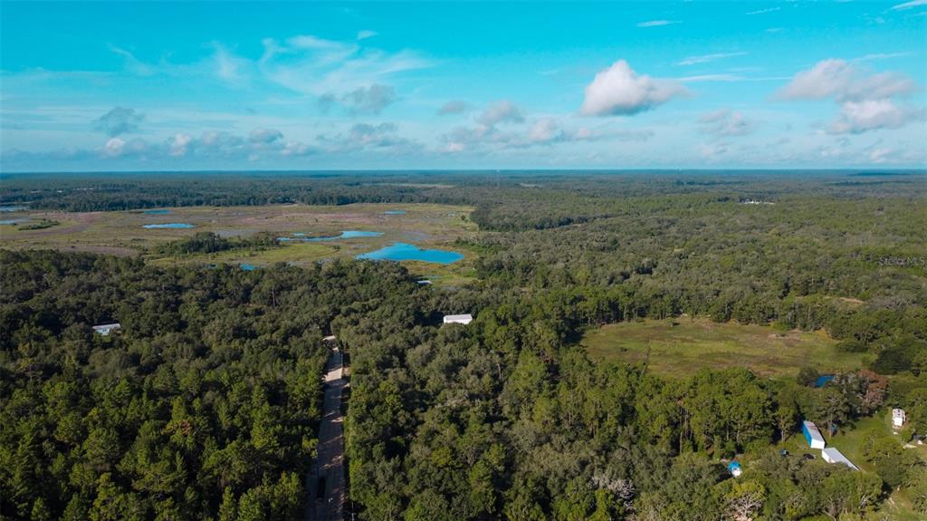 Blazing Star Road Melrose, FL 32666 - Photo 3 of 9 a view of a lake with a city