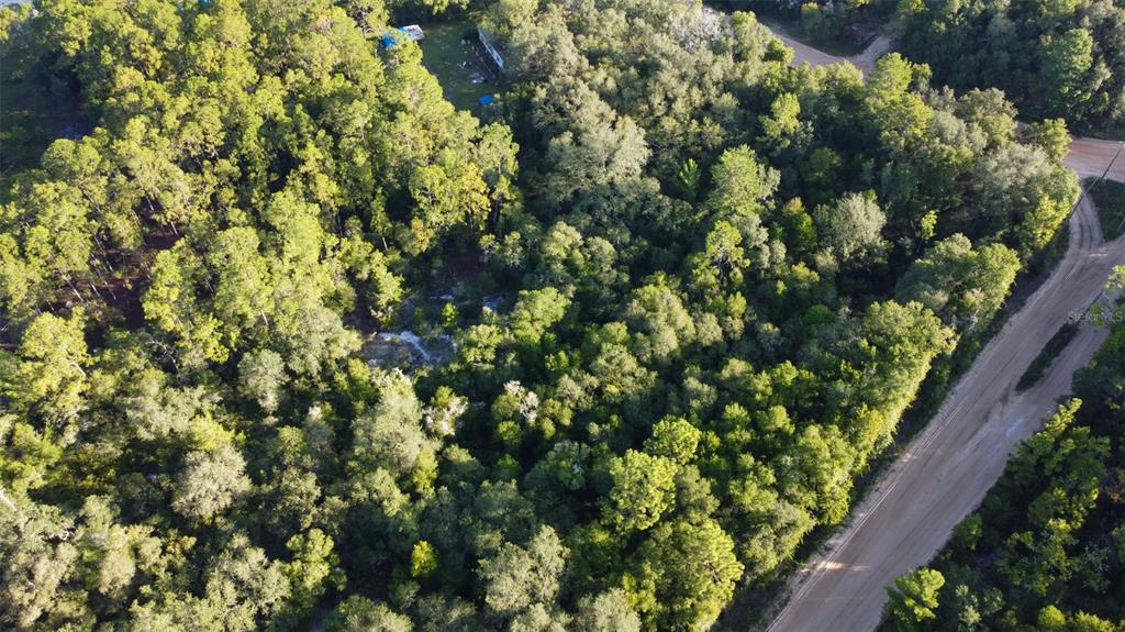 Blazing Star Road Melrose, FL 32666 - Photo 5 of 9 a view of a garden