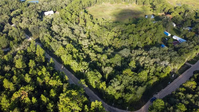 a view of a garden with a plant
