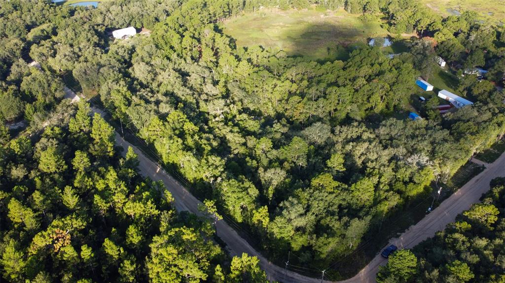 Blazing Star Road Melrose, FL 32666 - Photo 8 of 9 a view of a garden