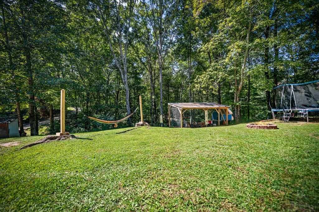 850 John Teem Road Ellijay, GA 30536 - Photo 48 of 52 Gallery Image 48