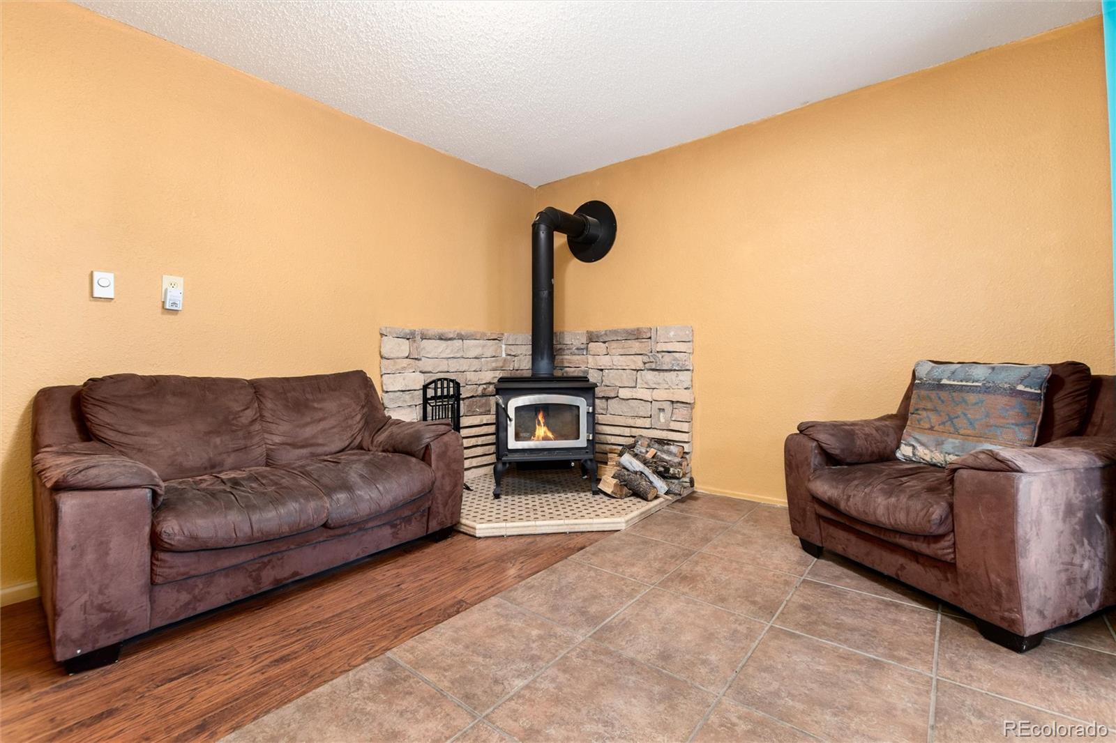 65 Silver Springs Road Bailey, CO 80421 - Photo 18 of 38 a living room with furniture and a fireplace