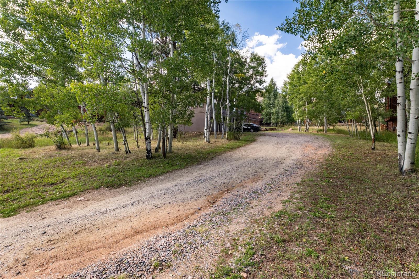 65 Silver Springs Road Bailey, CO 80421 - Photo 25 of 38 a view of a park with tree s