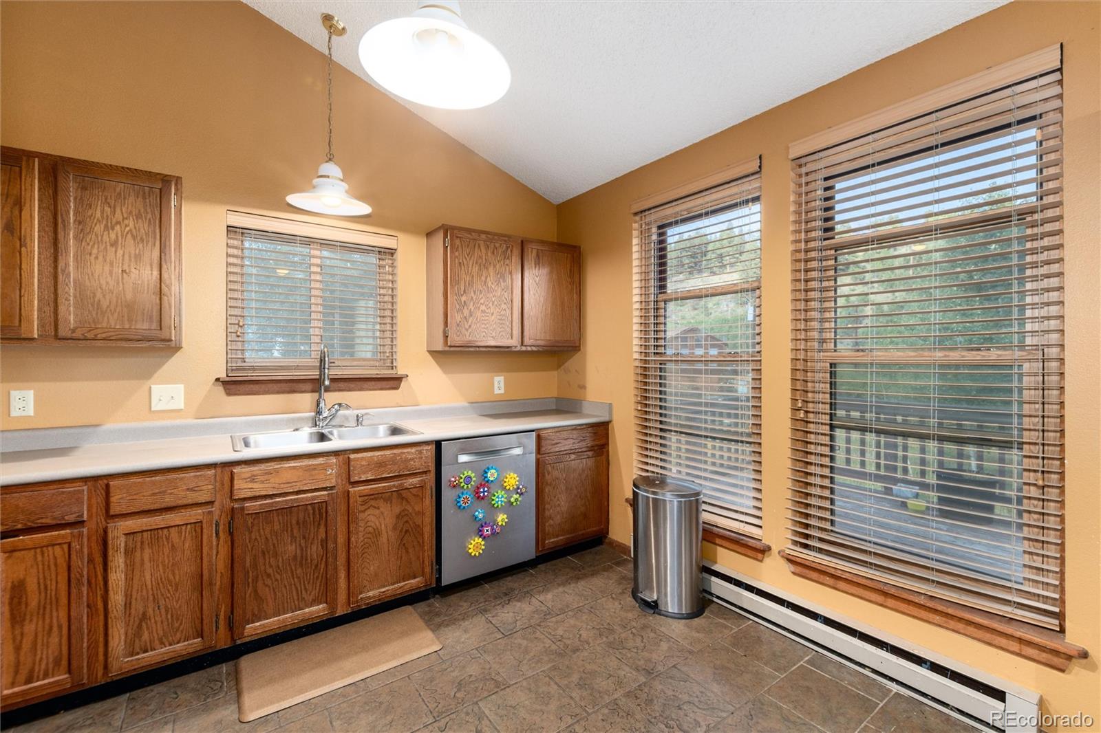 65 Silver Springs Road Bailey, CO 80421 - Photo 9 of 38 a kitchen with sink and window
