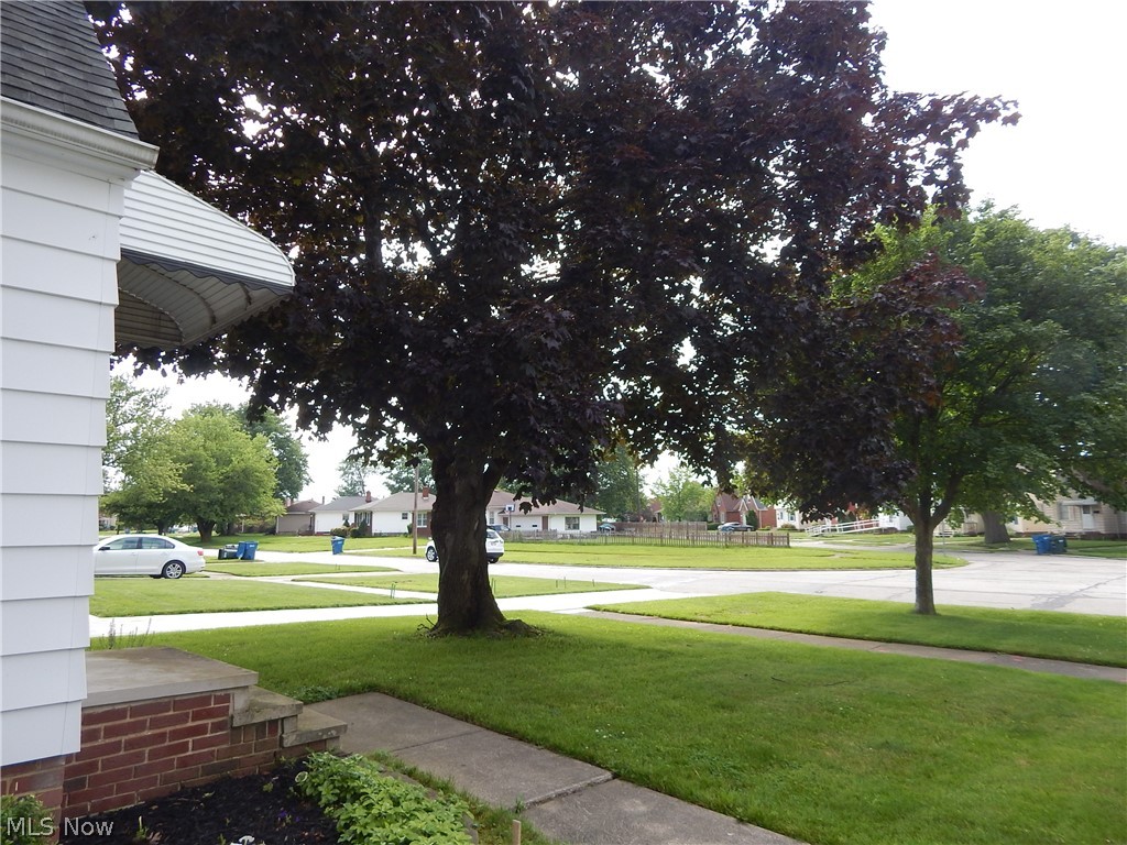 5701 Ackley Road Parma, OH 44129 - Photo 30 of 31 Enjoy the Beautiful View and shade Trees from Front Yard.