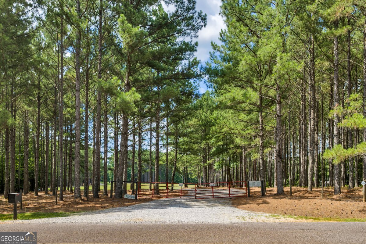 290 T W Leverette Road Jackson, GA 30233 - Photo 4 of 53 Gallery Image 4