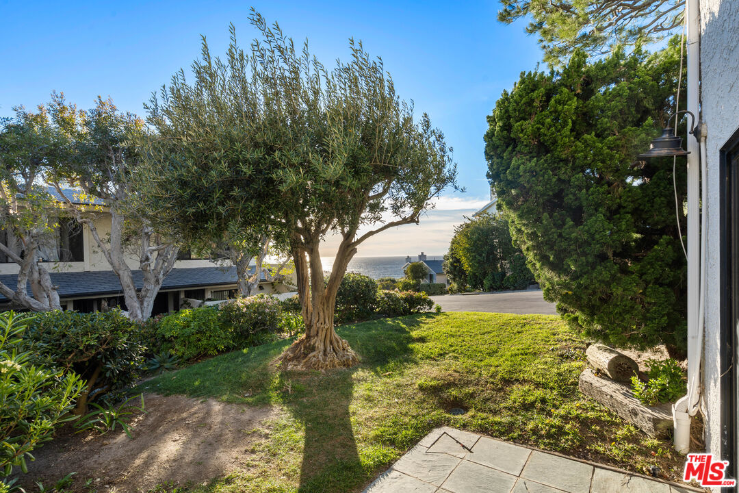 6801 Seawatch Lane Malibu, CA 90265 - Photo 16 of 28 a view of backyard with green space