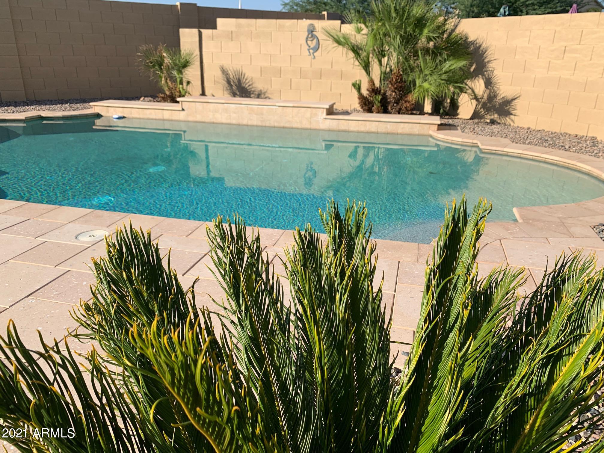 45326 West Jack Rabbit Trail Maricopa, AZ 85139 - Photo 18 of 50 IMG_0456
