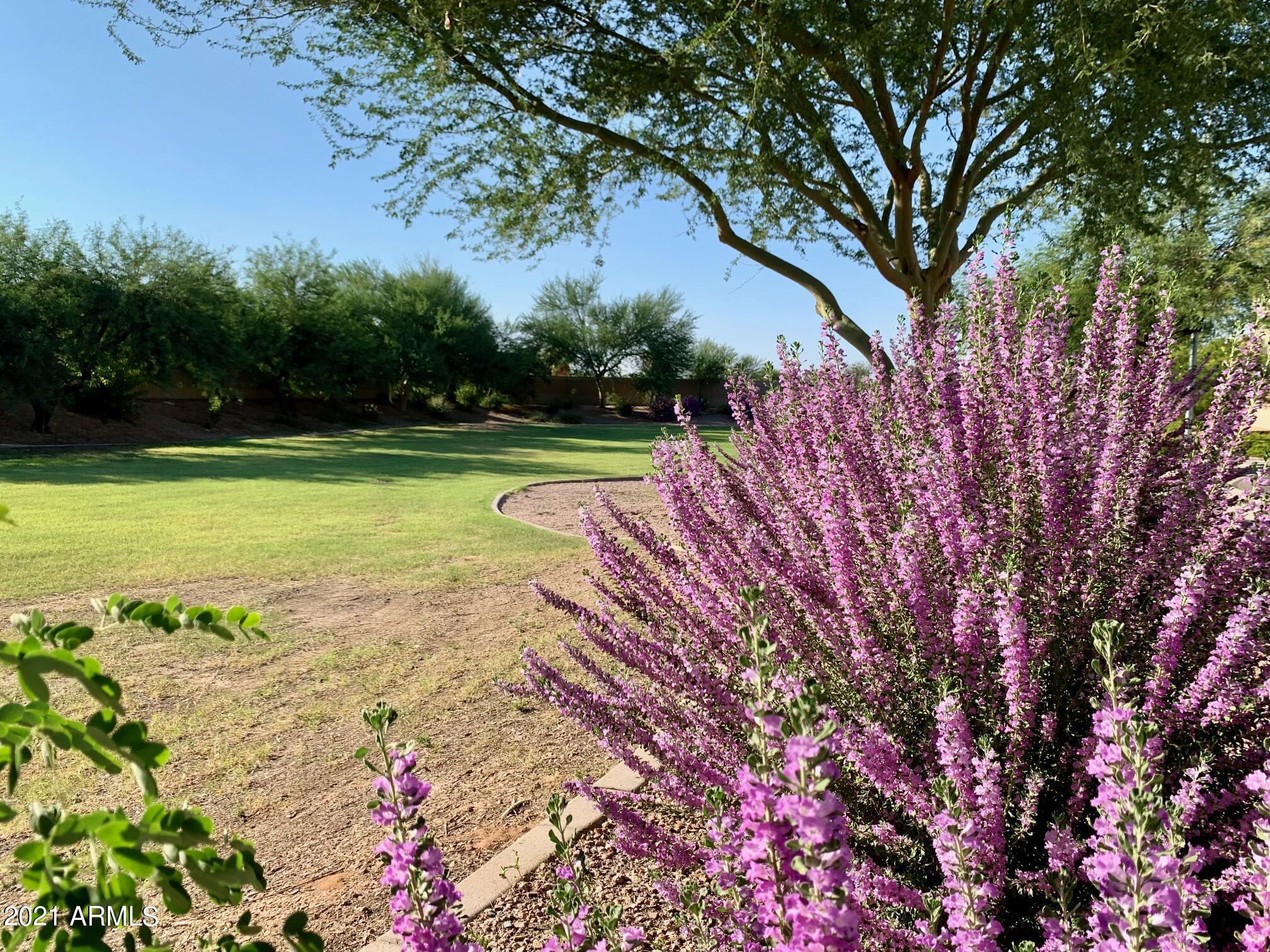 45326 West Jack Rabbit Trail Maricopa, AZ 85139 - Photo 48 of 50 IMG_0431