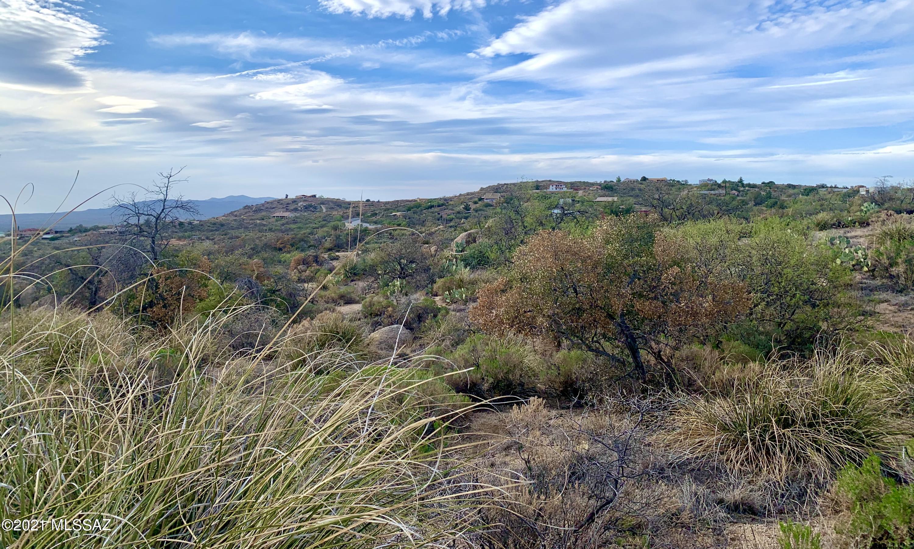 2.5 Acres Off Bachman Wash Road Oracle, AZ 85623 - Photo 9 of 10