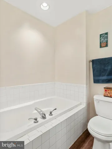 a bathroom with a bathtub and a toilet