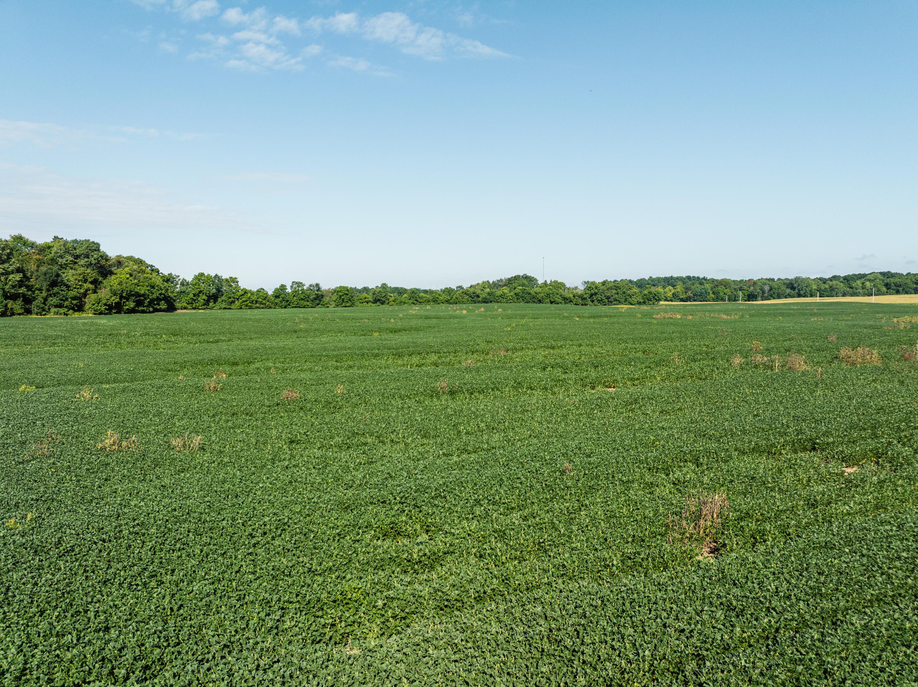 0 Sycamore Road Centerburg, OH 43011 - Photo 3 of 69 DJI_20260827151806_0761_D